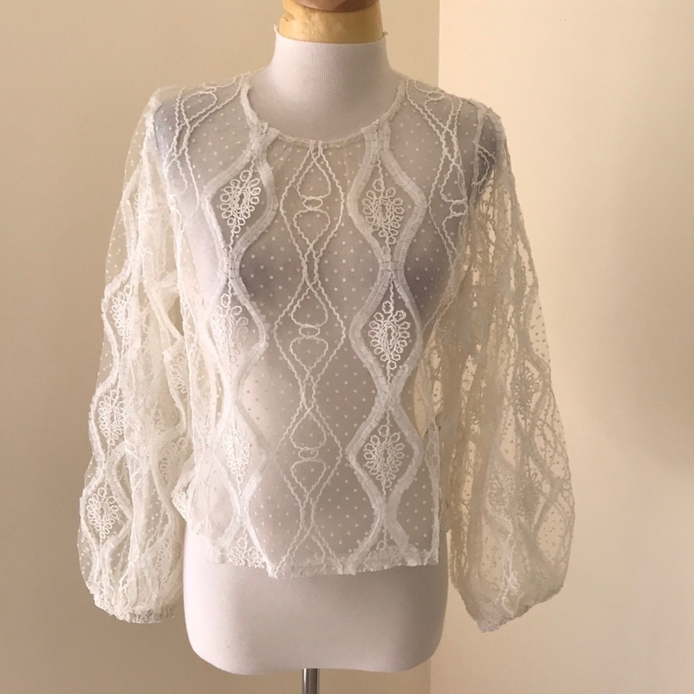 NWT! ZARA size M Tulle and plumeti sheer ruffled top